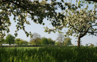 Panoramaweg Kraichbachtal Kraichtal IVV - Besenhex (Kurzroute) | © Land der 1000 Hügel - Kraichgau-Stromberg