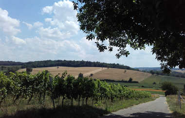 Panoramaweg Kraichbachtal Kraichtal IVV - Besenhex (Kurzroute) | © Stadtmarketing Kraichtal