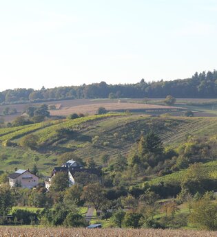 Panoramaweg Kraichbachtal Kraichtal IVV - Besenhex (Langroute) | © Stadtmarketing Kraichtal