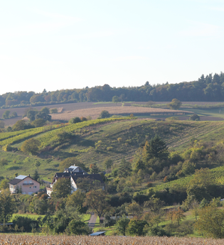 Panoramaweg Kraichbachtal Kraichtal IVV - Besenhex (Langroute) | © Stadtmarketing Kraichtal