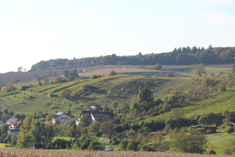 Panoramaweg Kraichbachtal Kraichtal IVV - Besenhex (Langroute) | © Stadtmarketing Kraichtal