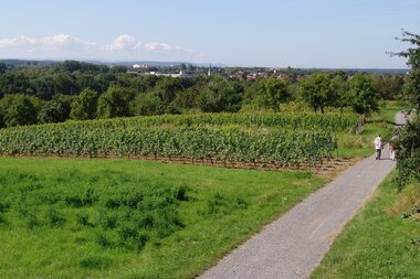 © Land der 1000 Hügel - Kraichgau-Stromberg
