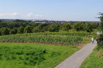 Panoramaweg Mingolsheim | © Land der 1000 Hügel - Kraichgau-Stromberg