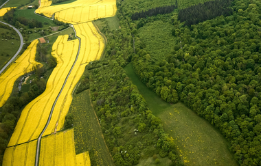 Panoramaweg Taubertal  3. Etappe | © Liebliches Taubertal