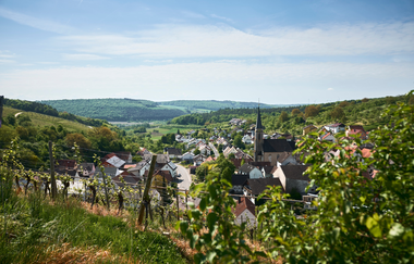 Panoramaweg Taubertal  4. Etappe | © Liebliches Taubertal