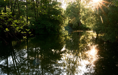 Panoramaweg Taubertal  5. Etappe | © Liebliches Taubertal