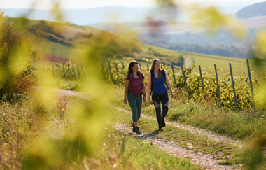 Panoramaweg Taubertal  5. Etappe | © Liebliches Taubertal