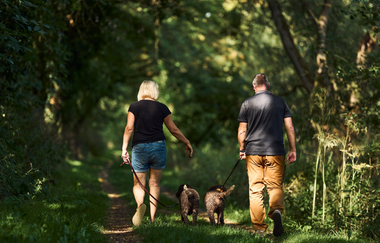 Panoramaweg Taubertal  8. Etappe | © Liebliches Taubertal