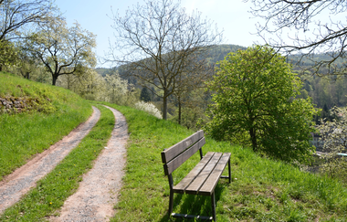 Panoramaweg Taubertal  9. Etappe | © Unbekannt