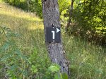 Wegweiser Bild