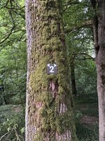 Wegweiser Bild