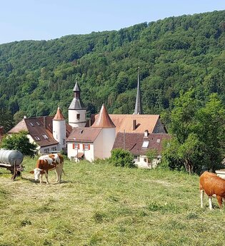 Perle 3 - Auf dem Jakobsweg nach Orlach