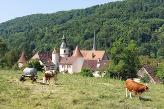 Perle 3 - Auf dem Jakobsweg nach Orlach