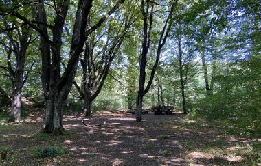 Perle 4 - Nach Geislingen durchs Kochertal