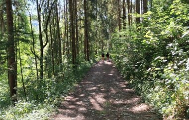 Perle 4 - Nach Geislingen durchs Kochertal