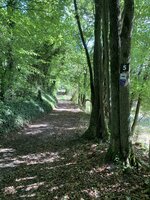 Wegweiser Bild