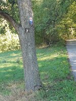 Wegweiser Bild