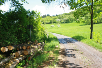 Wander3Klang Pfaffenhofen | HeilbronnerLand | © Neckar-Zaber-Tourismus