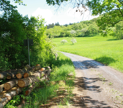 Wander3Klang Pfaffenhofen | HeilbronnerLand | © Neckar-Zaber-Tourismus