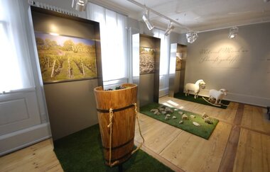 Ausstellung Natur | © Touristikgemeinschaft Hohenlohe e. V. | Herrenhaus Buchenbach