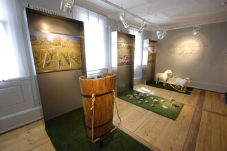 Ausstellung Natur | © Touristikgemeinschaft Hohenlohe e. V. | Herrenhaus Buchenbach