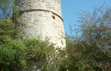 Pfad der Stille Schöntal Tour 2 Ritter und Mönche | © Touristikgemeinschaft Hohenlohe e. V.