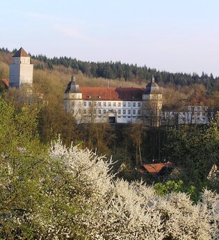 Pfad der Stille Schöntal Tour 3: Auf den Spuren unserer Vorfahren - Zu Kelten und Germanen | © Touristikgemeinschaft Hohenlohe e. V.