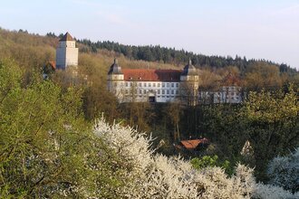 Pfad der Stille Schöntal Tour 3: Auf den Spuren unserer Vorfahren - Zu Kelten und Germanen | © Touristikgemeinschaft Hohenlohe e. V.
