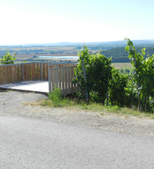Pfeiferhütte-Rundweg | © Stadt Sachsenheim