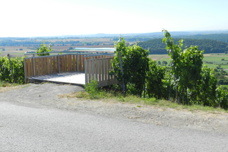 Pfeiferhütte-Rundweg | © Stadt Sachsenheim