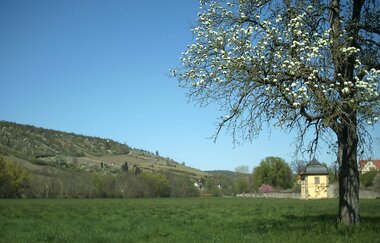 Prinz - Constantin - Rundweg | © Stadt Weikersheim