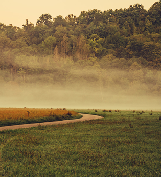 Etappe 4 - Der Kocher-Jagst-Radweg im Nebel | HeilbronnerLand | © Arbeitsgemeinschaft Kocher-Jagst-Radweg