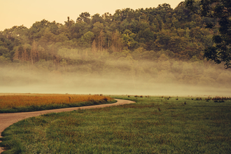 Etappe 4 - Der Kocher-Jagst-Radweg im Nebel | HeilbronnerLand | © Arbeitsgemeinschaft Kocher-Jagst-Radweg