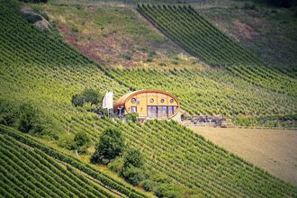 Ingelfinger Fass in den Kochertaler Weinbergen | © Touristikgemeinschaft Hohenlohe e. V. | Andi Schmid