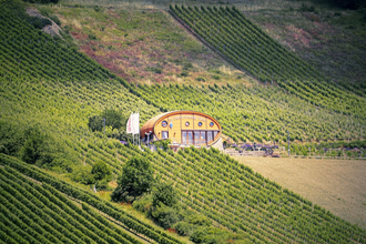 Ingelfinger Fass in den Kochertaler Weinbergen | © Touristikgemeinschaft Hohenlohe e. V.