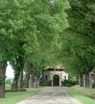 Der Weg zur Kapelle ist rechts und links von Bäumen gesäumt | © Touristikgemeinschaft Hohenlohe e. V.