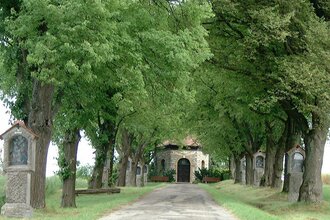Der Weg zur Kapelle ist rechts und links von Bäumen gesäumt | © Touristikgemeinschaft Hohenlohe e. V.