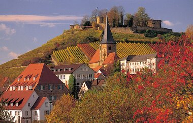 Radweg "Burgenstraße" | © Touristikgemeinschaft HeilbronnerLand e.V.