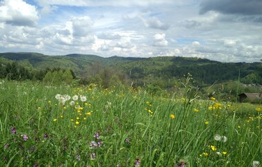 Aussichten in den Löwensteiner Bergen | © Touristikgemeinschaft HeilbronnerLand e.V.