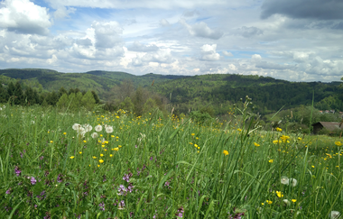 Aussichten in den Löwensteiner Bergen | © Touristikgemeinschaft HeilbronnerLand e.V.