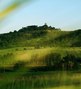 Grüne Wiesen mit Burg Steinsberg im Hintergrund | © Stadt Sinsheim