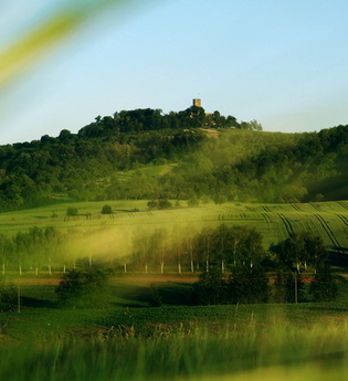 Burg Steinsberg | © Stadt Sinsheim