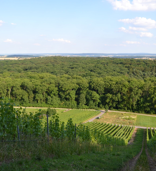 Blick vom Eichelberg | © Stadt Sinsheim