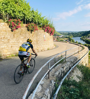 Ein Rennradfahrer fährt auf einer kurvigen Straße oberhalb des Neckars entlang – umgeben von Trockenmauern, Weinreben und weitem Ausblick über das Neckartal. | © Kraichgau-Stromberg Tourismus e.V.