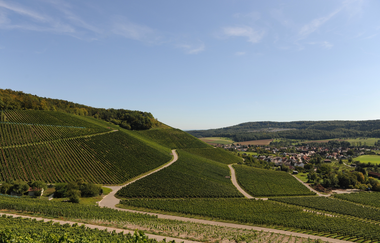 Rennrad-Tour durchs Württembergische Hügelland