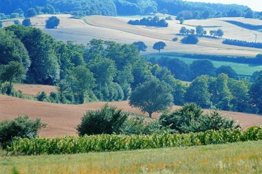 © Land der 1000 Hügel - Kraichgau-Stromberg
