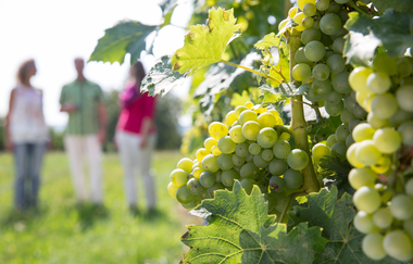 Rettigheimer Weg | © Outdooractive Redaktion