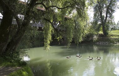 Rhein-Fähren-Tour | © Landratsamt Rhein-Neckar-Kreis