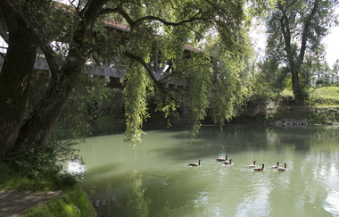 Rhein-Fähren-Tour | © Landratsamt Rhein-Neckar-Kreis