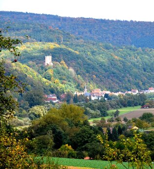 Romantisches Wildbachtal | © Stadt Freudenberg